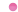 pink bullet